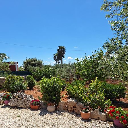 Baciati Dal Sole Lägenhet Martina Franca Exteriör bild