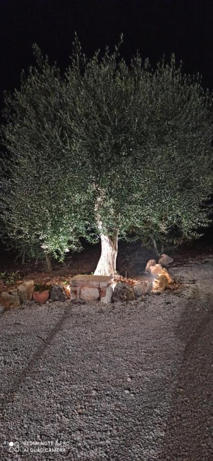 Baciati Dal Sole Lägenhet Martina Franca Exteriör bild