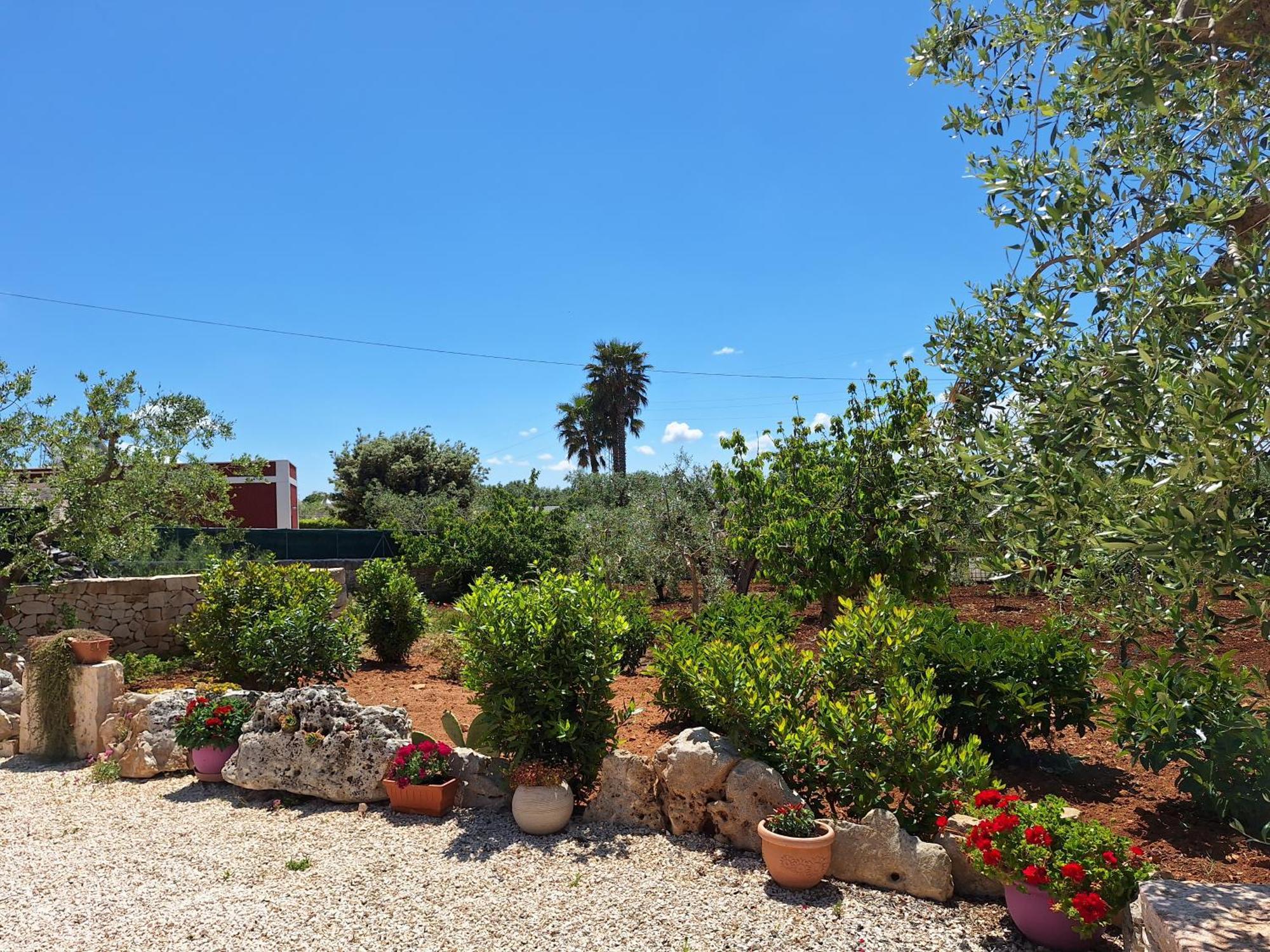Baciati Dal Sole Lägenhet Martina Franca Exteriör bild